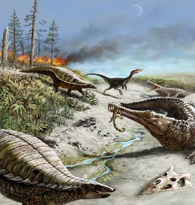 212 million years ago northern New Mexico was dry and hot with common wildfires. Early carnivorous dinosaurs were small and rare, whereas other reptiles were quite common.